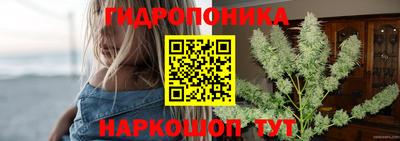 ECSTASY Чапаевск