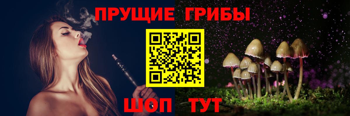 Камень-на-Оби  магазин  наркотиков  Вход с VPN  Псилоцибиновые грибы мухоморы 